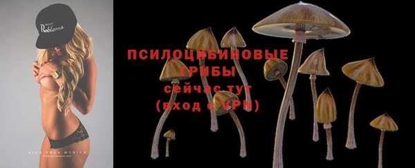 марки lsd Новокубанск