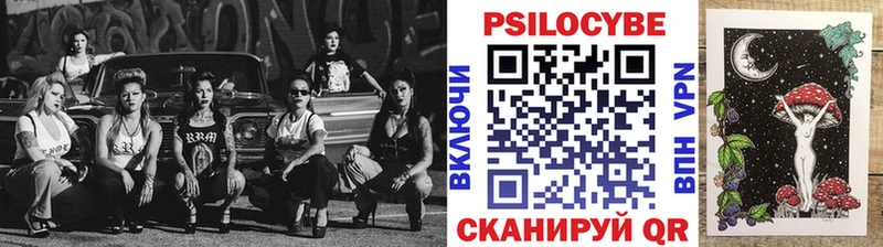 площадка как зайти  Нелидово  Галлюциногенные грибы Cubensis 